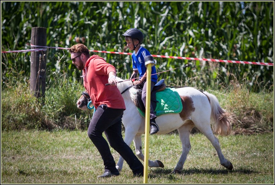 Mounted Games 236